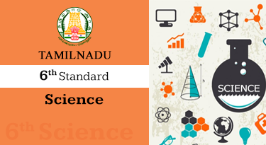 6th Standard EM Science