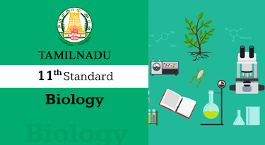 11th Standard English Medium Bio - Zoology