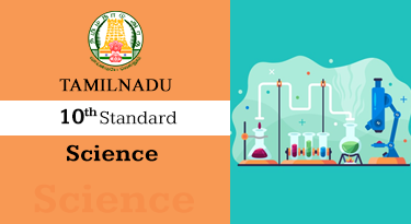 10th Standard 2019 EM Science