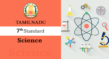 7th Standard English Medium Science